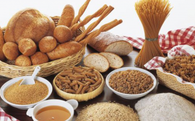 Carbohidrato: el combustible